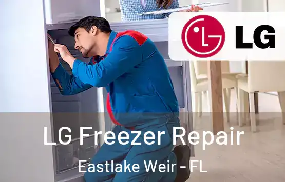  LG Freezer Repair Eastlake Weir - FL