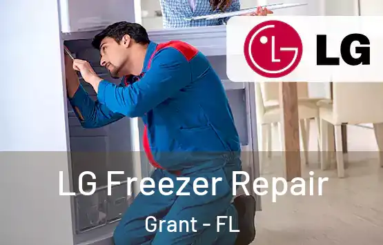  LG Freezer Repair Grant - FL