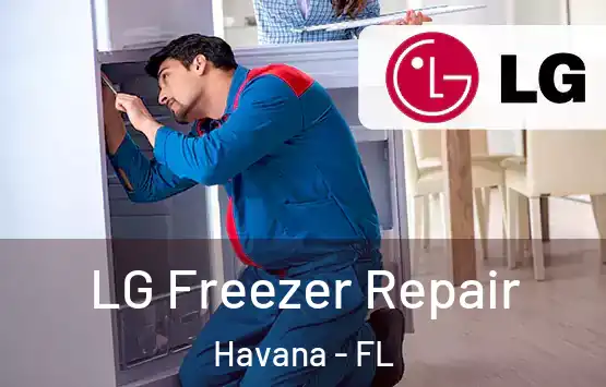  LG Freezer Repair Havana - FL
