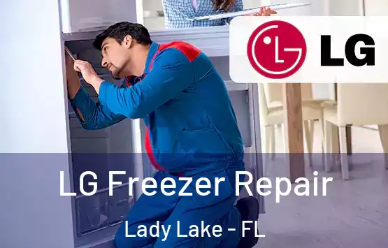  LG Freezer Repair Lady Lake - FL