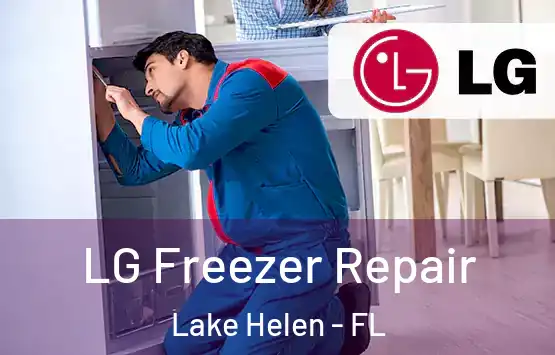  LG Freezer Repair Lake Helen - FL