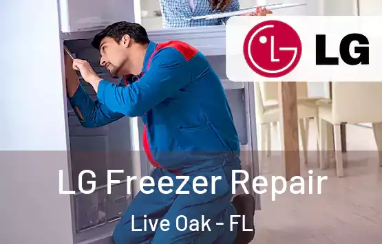  LG Freezer Repair Live Oak - FL