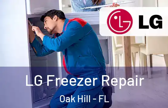  LG Freezer Repair Oak Hill - FL