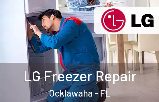  LG Freezer Repair Ocklawaha - FL