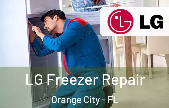  LG Freezer Repair Orange City - FL