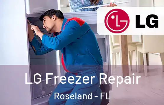  LG Freezer Repair Roseland - FL