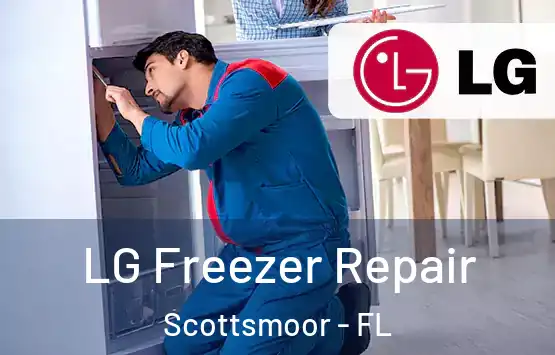 LG Freezer Repair Scottsmoor - FL