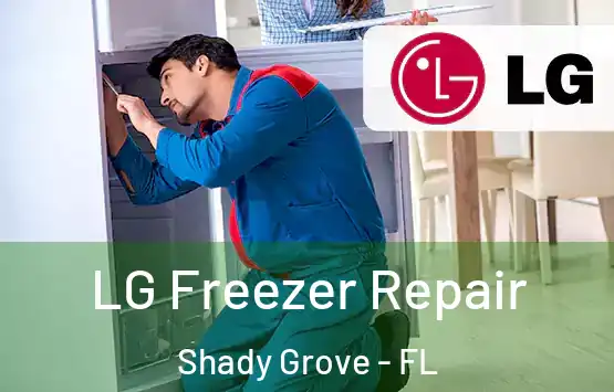  LG Freezer Repair Shady Grove - FL
