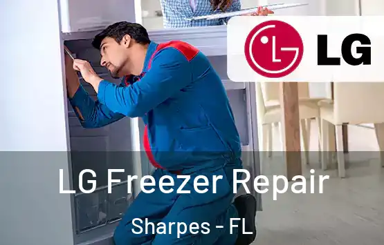  LG Freezer Repair Sharpes - FL