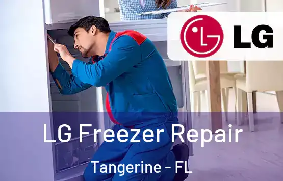  LG Freezer Repair Tangerine - FL