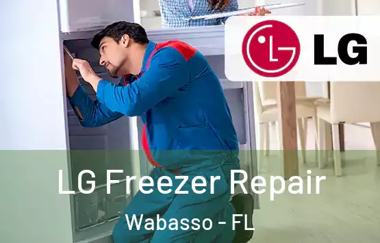  LG Freezer Repair Wabasso - FL