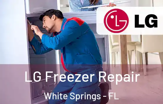  LG Freezer Repair White Springs - FL