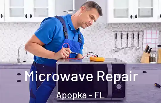  Microwave Repair Apopka - FL