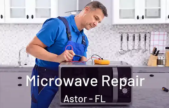  Microwave Repair Astor - FL