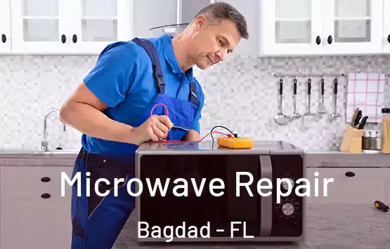  Microwave Repair Bagdad - FL