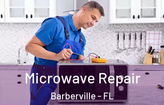  Microwave Repair Barberville - FL