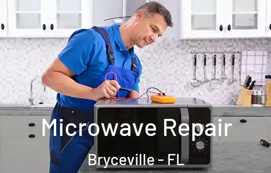  Microwave Repair Bryceville - FL
