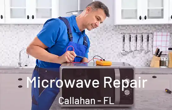  Microwave Repair Callahan - FL