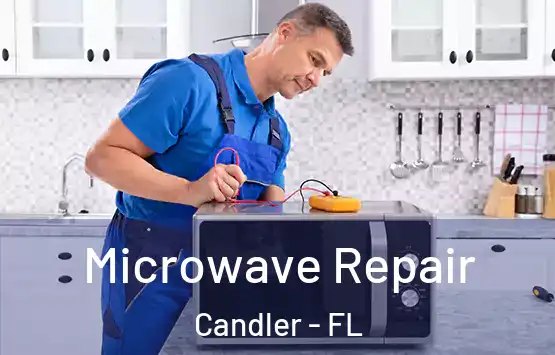  Microwave Repair Candler - FL