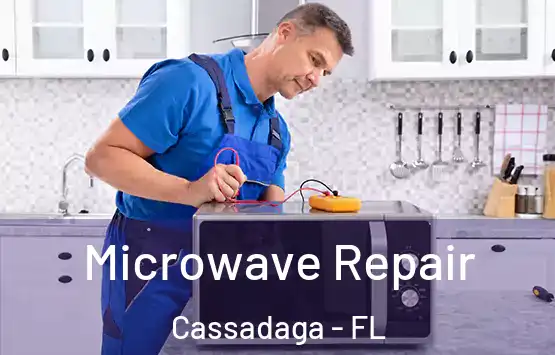  Microwave Repair Cassadaga - FL