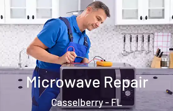  Microwave Repair Casselberry - FL