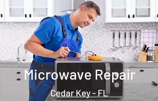  Microwave Repair Cedar Key - FL