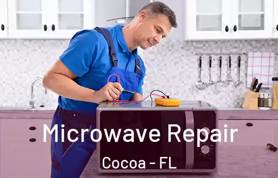  Microwave Repair Cocoa - FL