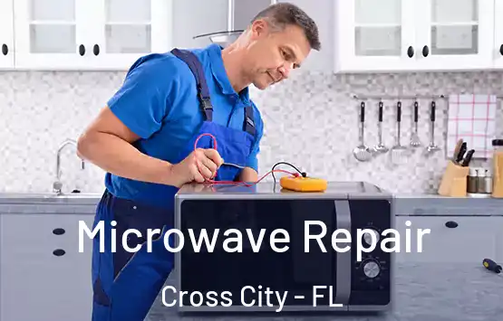  Microwave Repair Cross City - FL