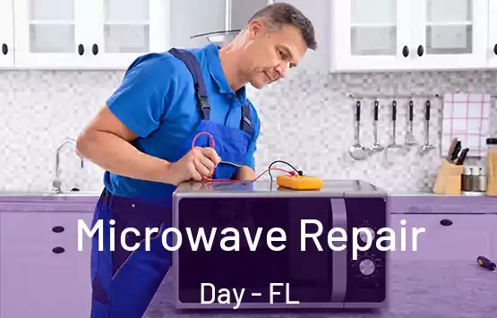  Microwave Repair Day - FL