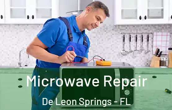  Microwave Repair De Leon Springs - FL