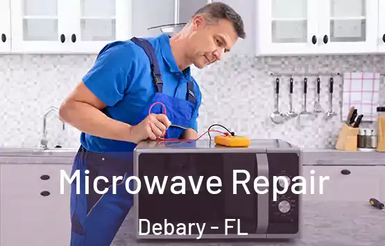  Microwave Repair Debary - FL