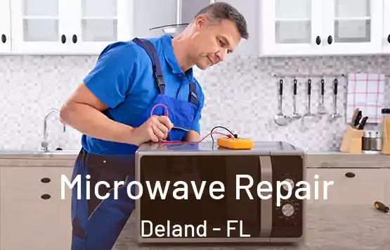  Microwave Repair Deland - FL
