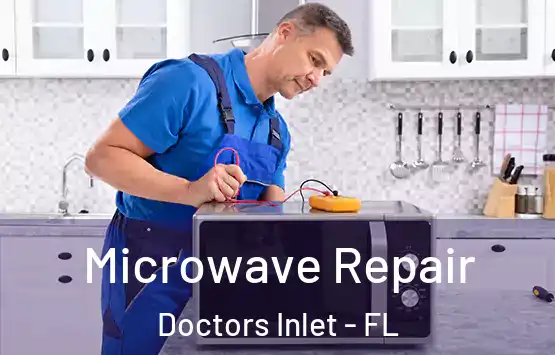  Microwave Repair Doctors Inlet - FL