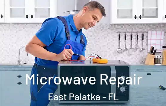  Microwave Repair East Palatka - FL