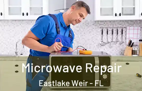  Microwave Repair Eastlake Weir - FL