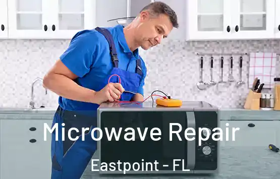  Microwave Repair Eastpoint - FL