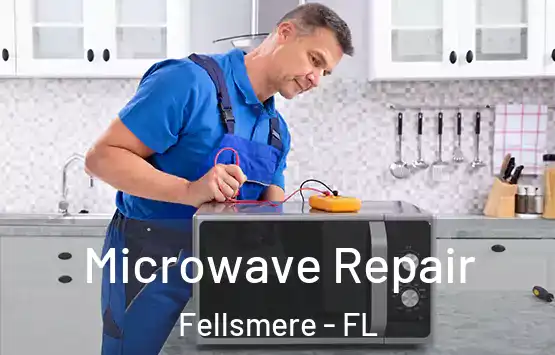  Microwave Repair Fellsmere - FL
