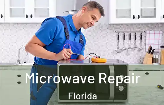  Microwave Repair Florida