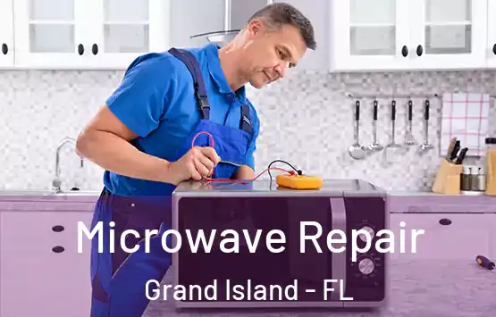 Microwave Repair Grand Island - FL