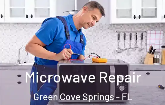  Microwave Repair Green Cove Springs - FL