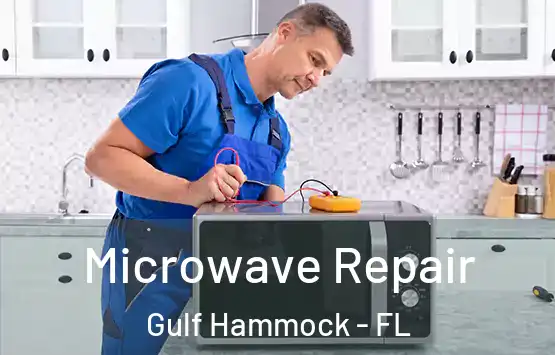  Microwave Repair Gulf Hammock - FL