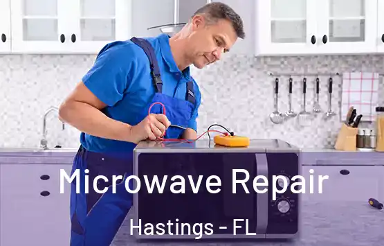  Microwave Repair Hastings - FL