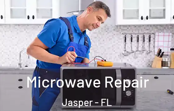 Microwave Repair Jasper - FL