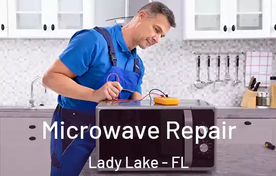  Microwave Repair Lady Lake - FL