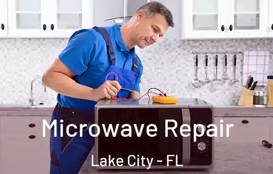  Microwave Repair Lake City - FL