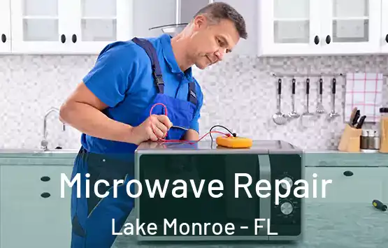  Microwave Repair Lake Monroe - FL