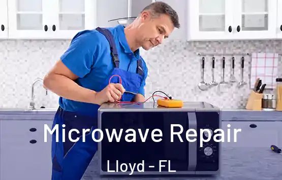  Microwave Repair Lloyd - FL