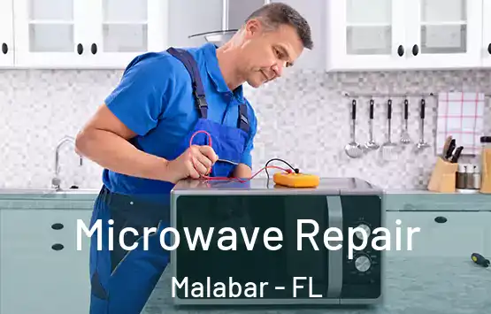  Microwave Repair Malabar - FL