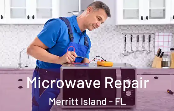  Microwave Repair Merritt Island - FL