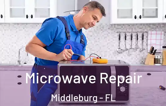  Microwave Repair Middleburg - FL